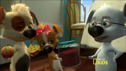 Mascotas en el Espacio La Familia - Cumpleaños de Papa Español Latino