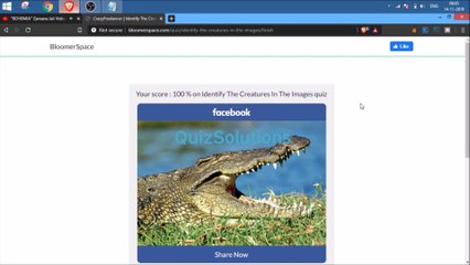 Bloomerspace Identify The Creatures In The Images Answers 25 Questions Score 100% Video QuizSolutions
