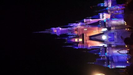 Spectacular Fire Works & Lights show at the Magic Kingdom, Disney World, Orlando, USA