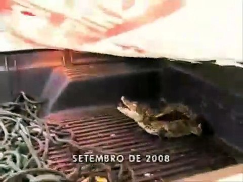 Fantastico - Dançando com o Diabo Dancing With the Evil - Conversas com Traficantes