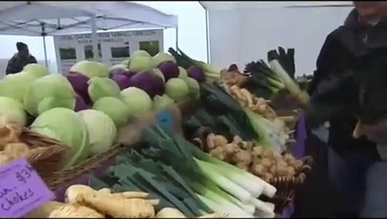 "Ingredients" Trailer