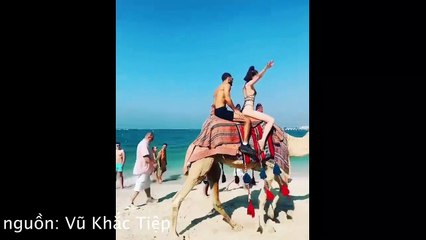 Ngọc Trinh cưỡi lạc đà