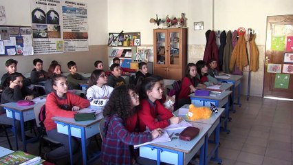 Sevimli kedi  'Tarçın' okullu oldu