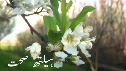 nafs dela ho tu us ka ilaj|ڈھیلے نفس کا علاج