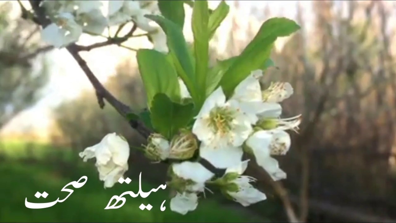 nafs dela ho tu us ka ilaj|ڈھیلے نفس کا علاج