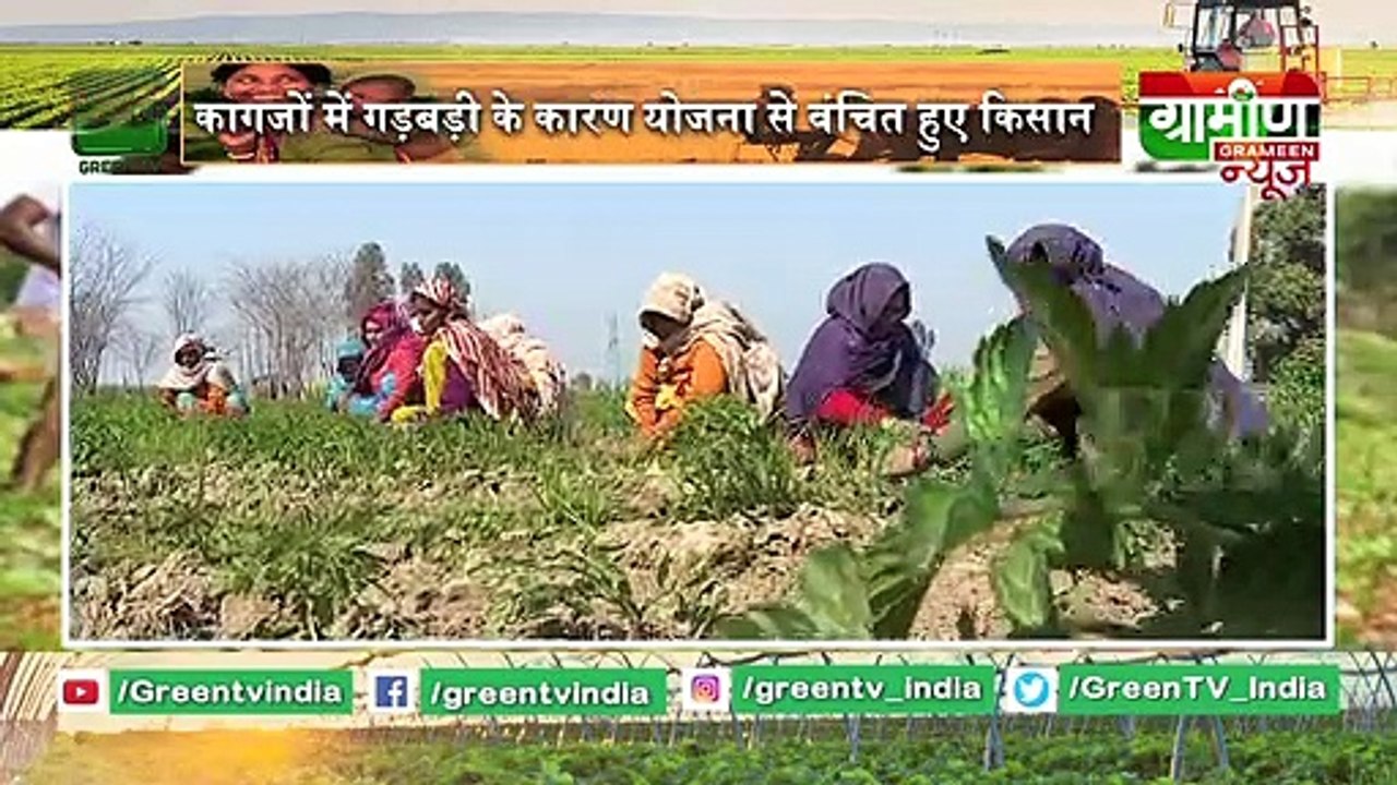 Kisan Bulletin : परेशानी का सबब बनी किसान सम्मान निधि योजना | Grameen News