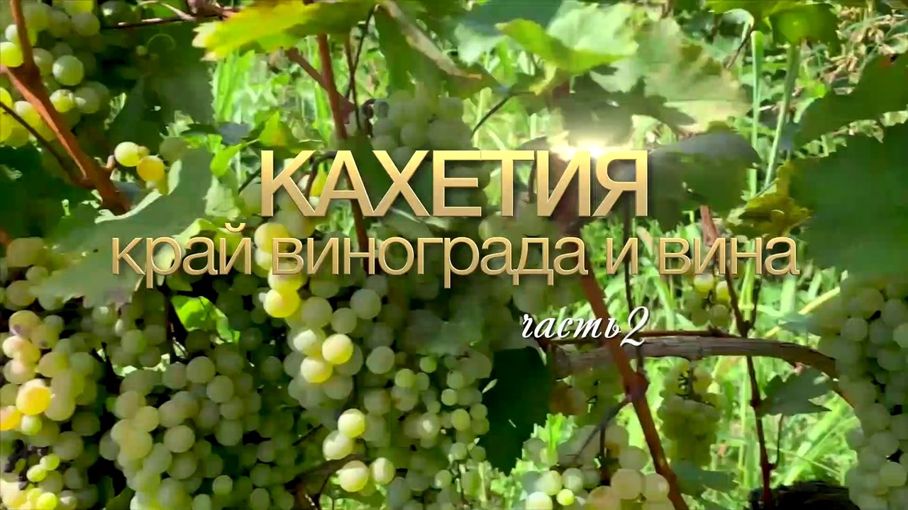 Кахетия, край винограда и вина (сюжет третий, часть 2)