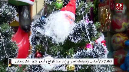 احتفالاً بالأعياد.. (صباحك مصري) يرصد أنواع وأسعار شجر الكريسماس