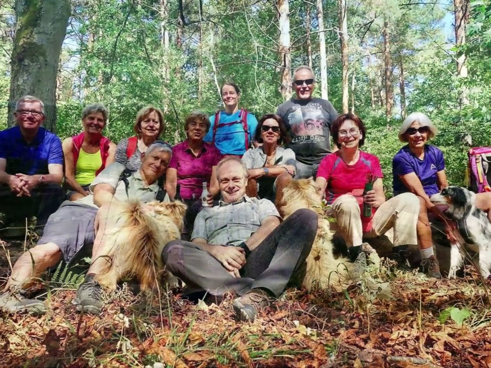 Jahresrückblick auf 2019