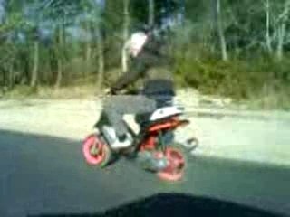 spitro evolution