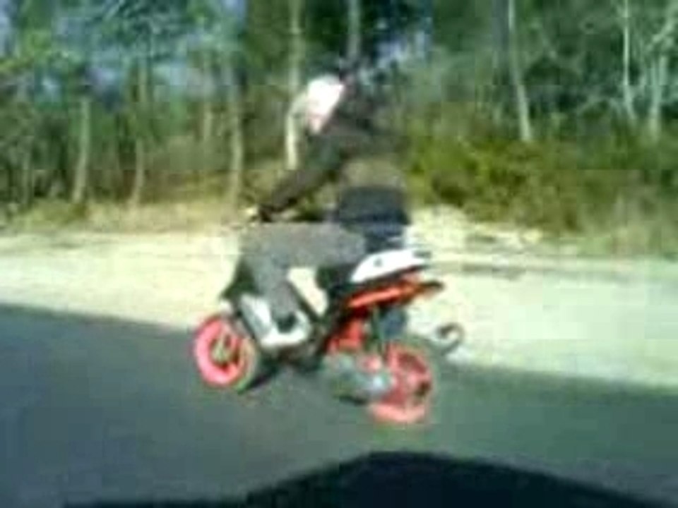 spitro evolution