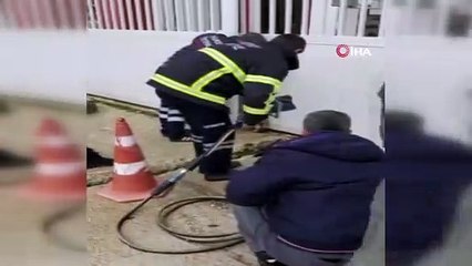 Otomatik kapının altına sıkışan köpeği itfaiye kurtardı