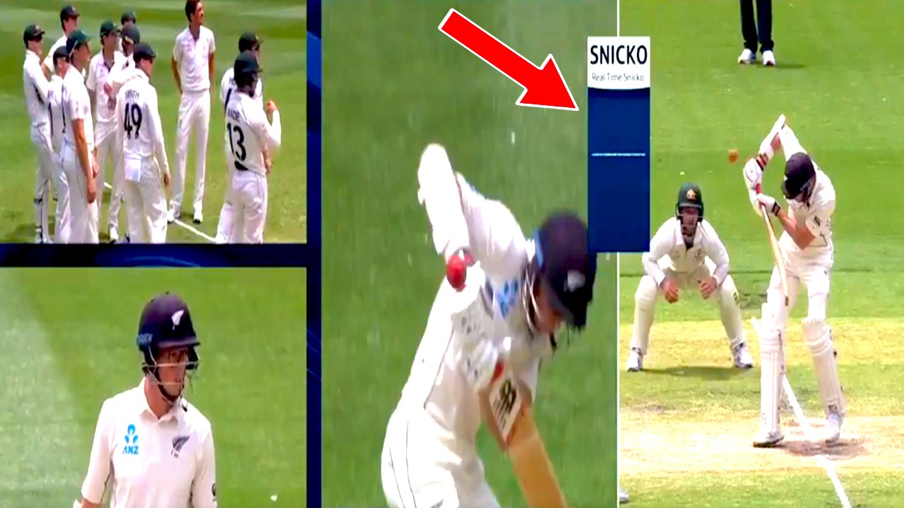 Australia vs New Zealand | Tim Paine angered wi...