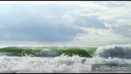 MI HANNO BUTTATA IN MEZZO AI LUPI...NE SONO USCITA CAPOBRANCO