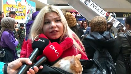 Kediler yarıştı, engelli kediler ilgi odağı oldu