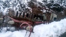 Adana'nın Feke ilçesinde kar yağışı hayatı olumsuz etkiliyor