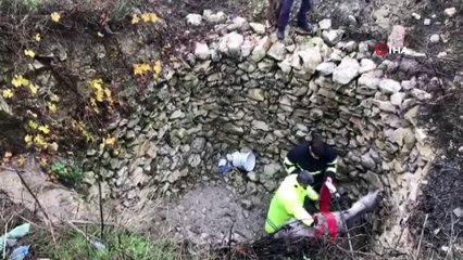 Hatay’da kuyuya düşen eşeği itfaiye ekipleri kurtardı