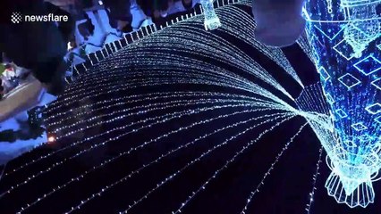 Christmas Tree in Lithuania voted "Most Beautiful in Europe"