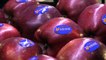 Depodan 2 liraya alınan elma markette 7 liraya satılıyor - KARAMAN