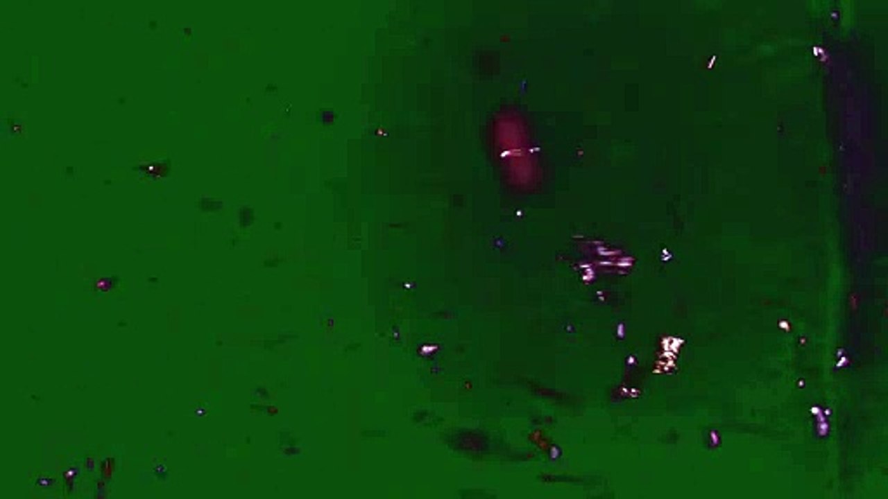 Green_Screen_Dust_Flare_Particles_Effects