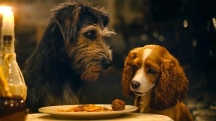 Lady and the Tramp on Disney+ - The Nostalgia
