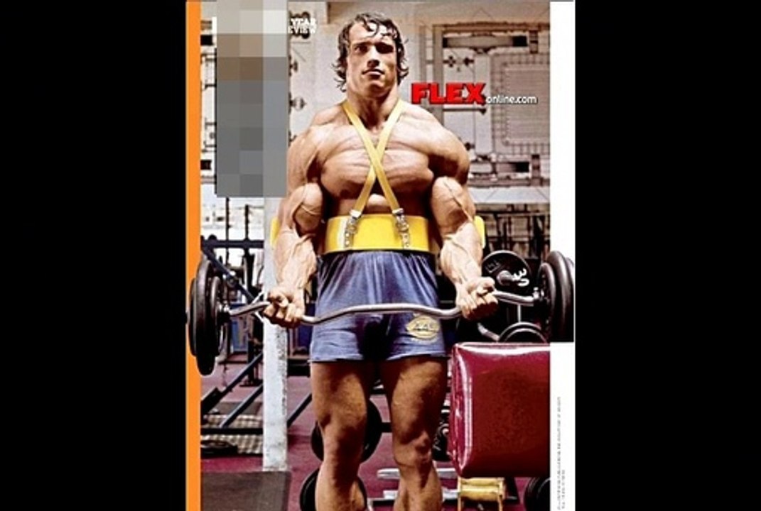 Arnold Schwarzenegger: PECHO.