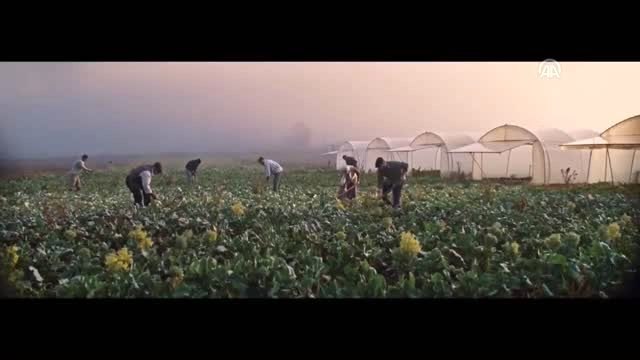 AK Parti'de 7. Olağan Kongre süreci başladı