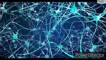 18 amazing facts about brain in Hindi