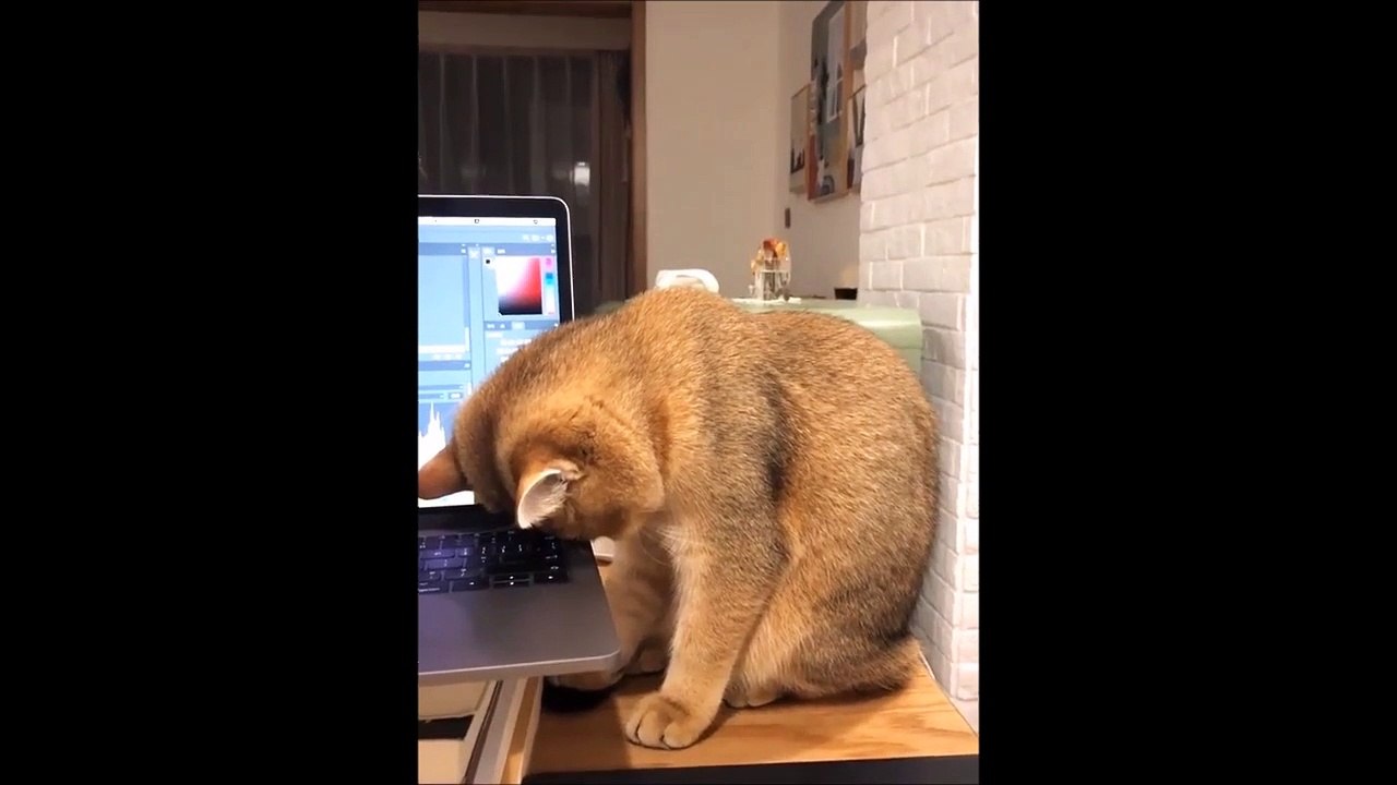 Retour au boulot après les fêtes : pas simple