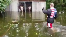 Este voluntario rescata a seis perros encerrados en una jaula inundada por el huracán Florence
