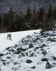 Un snowboarder attaqué.. par un oiseau !