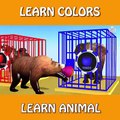 Wrong Fruits Colors Drop on Road for Animals and Cages Cartoon for Children