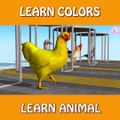 Learn Colors Learn Animals Goose Chicken Duck Rooster Dove eat Fish Cartoon for Children