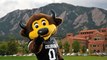 Chip, la mascota de Colorado Buffaloes, se pega un 'tiro' en las pelotas