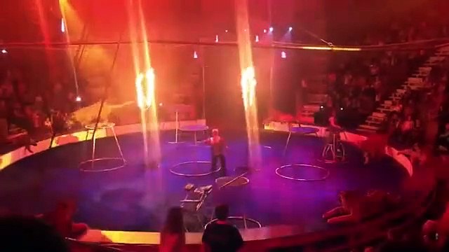 Esta tigresa sufre un ataque de convulsiones en pleno espectáculo de circo