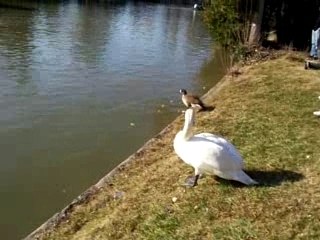 MARSEILLE LE PARC BORELY