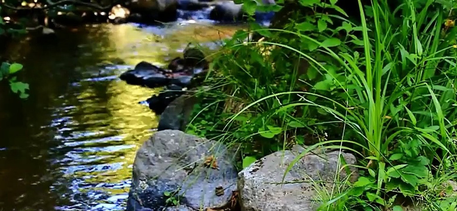 Relaxing Music Headache Relieving Music