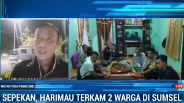Lagi, Warga Muara Enim Diterkam Harimau