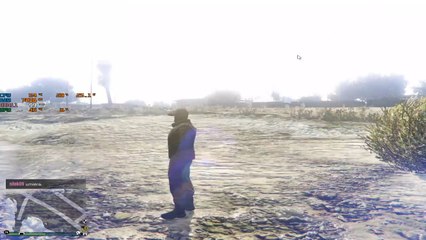 GTA 5 ONLINE GLITCH BUG