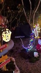 Une maison de TRETS magnifiquement illuminée pour NOEL 2019