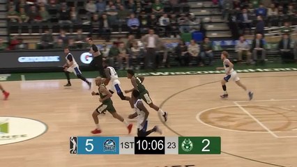 BJ Johnson (36 points) Highlights vs. Wisconsin Herd