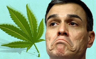 Esther Palomera se enfada porque se ríen de  Pedro Sánchez y su patochada en el besamanos real