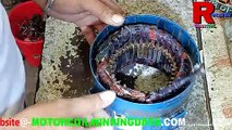 How to repair winding of Crompton Exhaust fan motor in Hindi