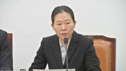 권은희, 공수처법 수정안 발의 "수사는 공수처 기소는 검찰" / YTN