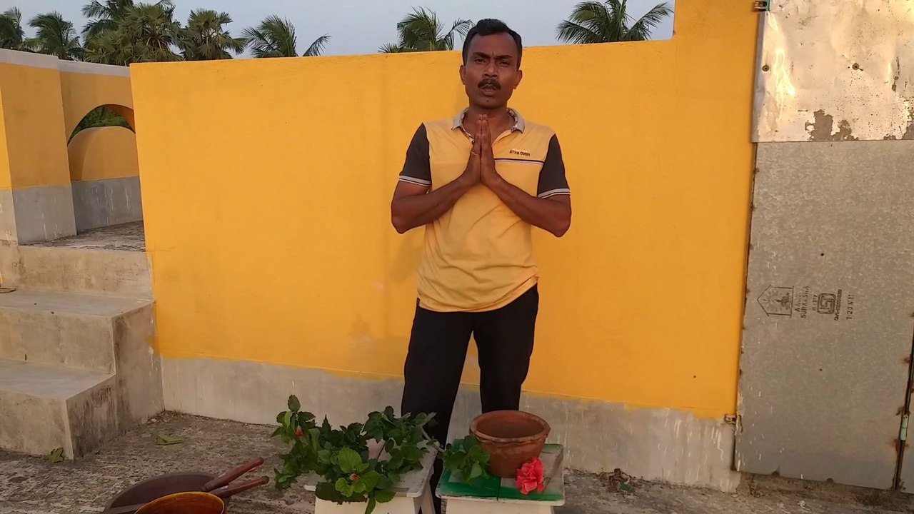 জবা ফুল গাছের ডাল থেকে  চারা গাছ করার পদ্ধতি/ please subscribe করে update video টি দেখে  নেবেন