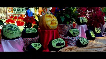 यस्तो छ यसपालिको पोखराको सडक महोत्सब | नया बर्ष मनाउन जाने हैन पोखरा ?| सडक महोत्सब पोखरा २०१९ सुरु || street Festival Pokhara 2019-2020