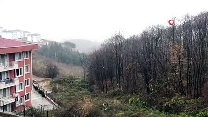 Sakarya'nın yüksek kesimlerine mevsimin ilk karı düştü