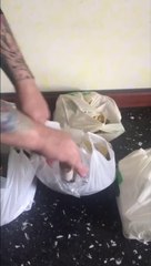 VIDEO SPESA ALIMENTARI CINESE