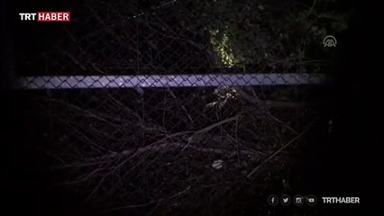 Yunanistan'ın düzensiz göçmenleri darbederek zorla geri gönderdiği iddiası