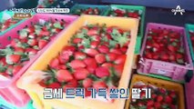 연 매출만 6억! 신선도 100% 달콤한 딸기 大공개!